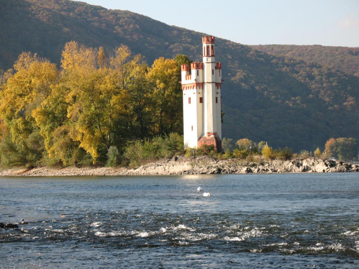 Helle Fewo, 60 Qm, Souterrain, Eigener Eingang, Rhein Und Nahe Bingen am Rhein Luaran gambar